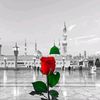 arxlanmughl77