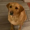 amy2023tiktok