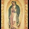 letitorres8965