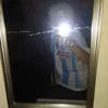 25_ale24