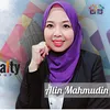 alinmahmudin91