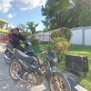 ferli_601