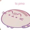 wandy_q1