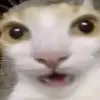 ginataanghatdog26