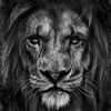 _charlielion