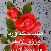 merysara515