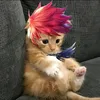 rajjie02
