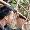 rijan.harahap12