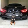 saidbusinessauto16