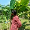 apurbo_0.7