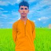 shamanali4512