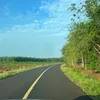 meohoang889018