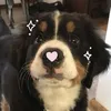 patricia_6181