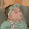 nabeelpervaizfaro