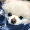 phrawnakub_62