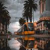 radwan_sba22