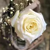 rayan_kurdish34