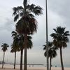 kady_10073