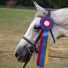 grafhanoverian