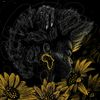 mercy050607