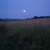 lukasczech_