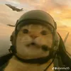 giullnull