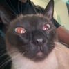 blackboi._._