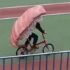kaminapico