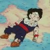 catogotkicks