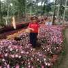 joybagalanon