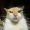 notsopink_man