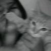 berrytwinkle_2003