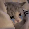 ng.khang_9