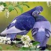 hamzahamouza7880