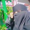 sabbir78754