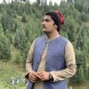 nisardawar786