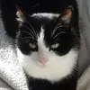 tissaetkevin