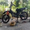 dani52830803