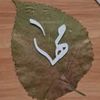 user491742896014maha