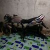 farihardiansyah