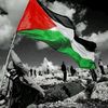 moayad.alkhatib5