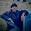 saeedgull_1603