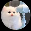 user1826190668163
