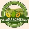 selama_agrofarm