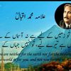 sanaullah13460