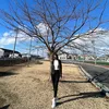 87_luyen