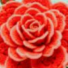 awred4053