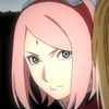 saku.versal