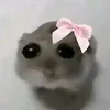 hhwhy_