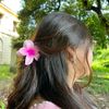 reenakhan389
